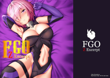 [Z no Yabou (Zukky)] FGO Z Excerpt (Fate/Grand Order) [Digital] cover