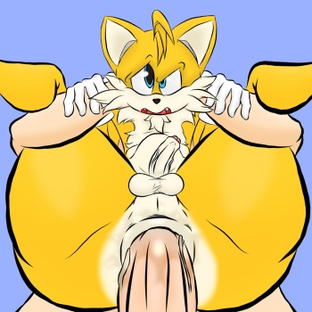 Tails Anal cover