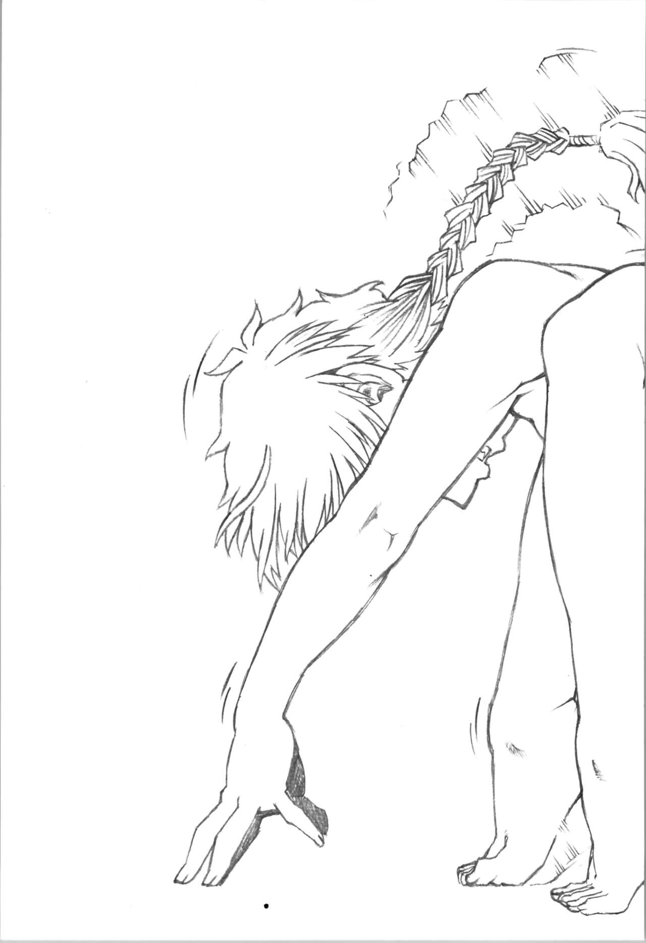 Saotome Ranma no Seitai Preview Ver2 page 12 full