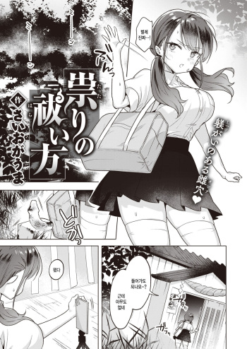 [Saioga Uma] Tatari no Haraikata (COMIC Kairakuten BEAST 2023-01) [Korean] [팀 털난보리] [Digital] cover