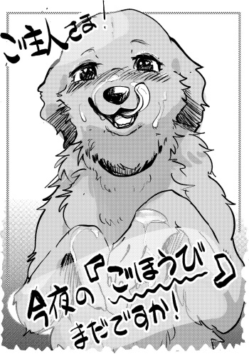 [Kon Juuichibai (Momou)] Goshujin-sama! Konya no "Gohoubi" Mada desu ka! [Decensored] [Digital] cover