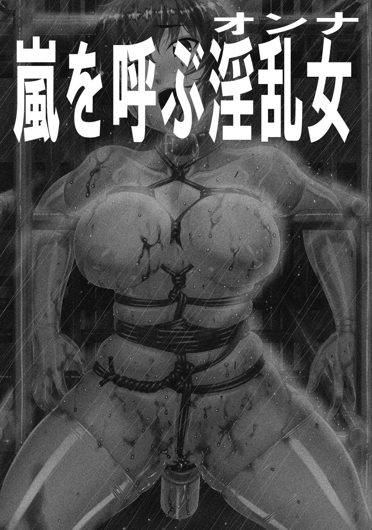 Arashi o Yobu Onna page 2 full