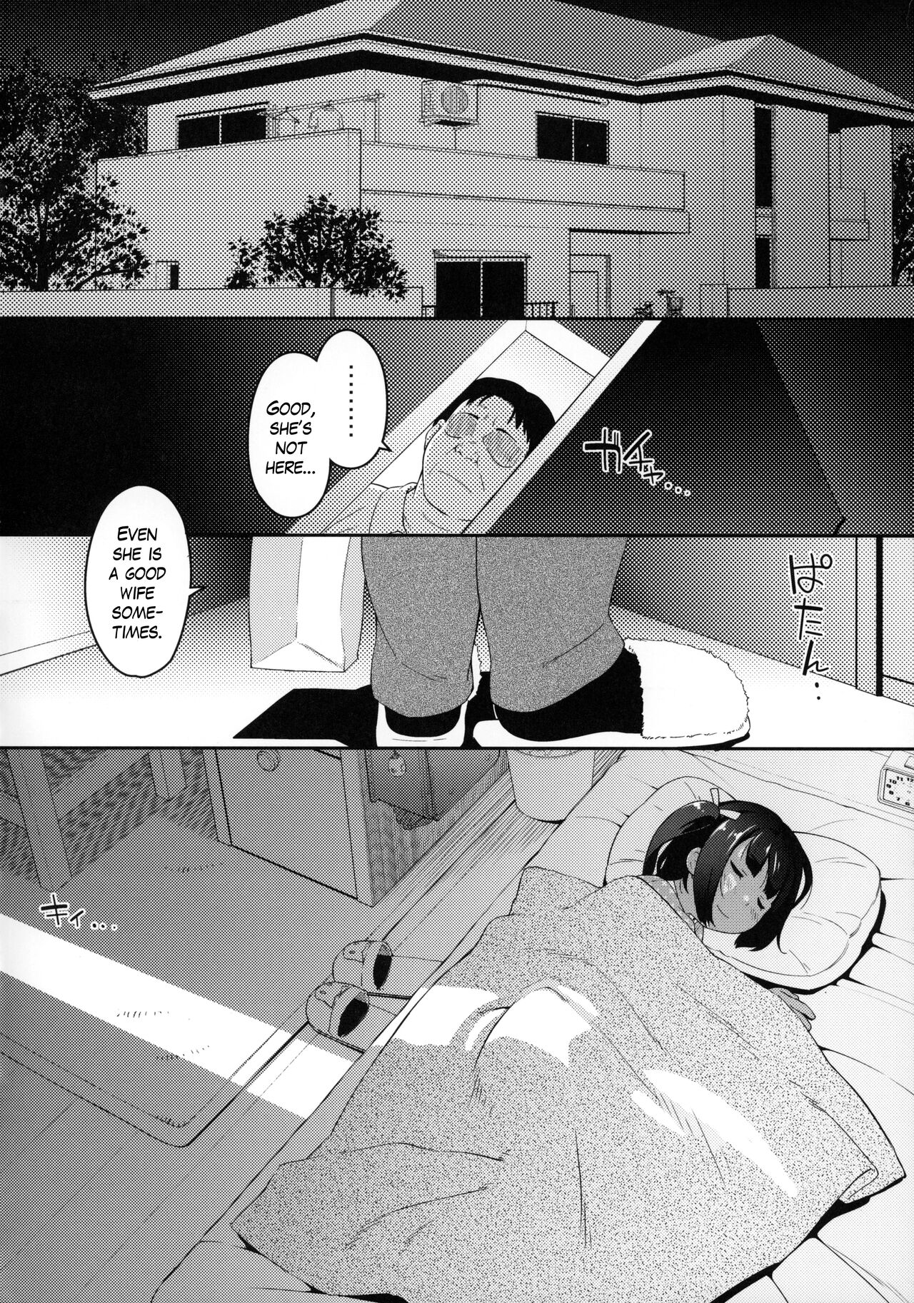 C95  JS*ANALyze page 3 full