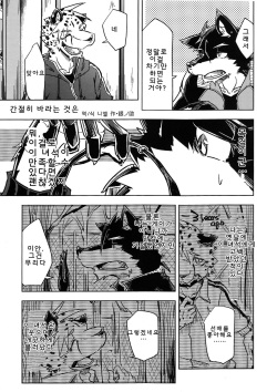 Koinegau wa | 간절히 바라는 것은