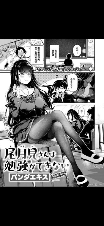尾月见 cover