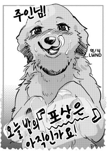 [Kon Juuichibai (Momou)] Goshujin-sama! Konya no "Gohoubi" Mada desu ka! | 주인님! 오늘 밤의 "포상은" 아직인가요! [Korean] [LWND] [Digital] cover