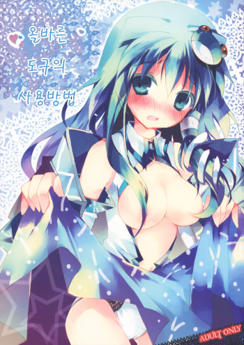 (Reitaisai 7) [BIBASUKU (Ayuka)] Tadashii Dougu no Tsukaikata | 올바른 도구의 사용법 [Korean](Touhou Project) cover