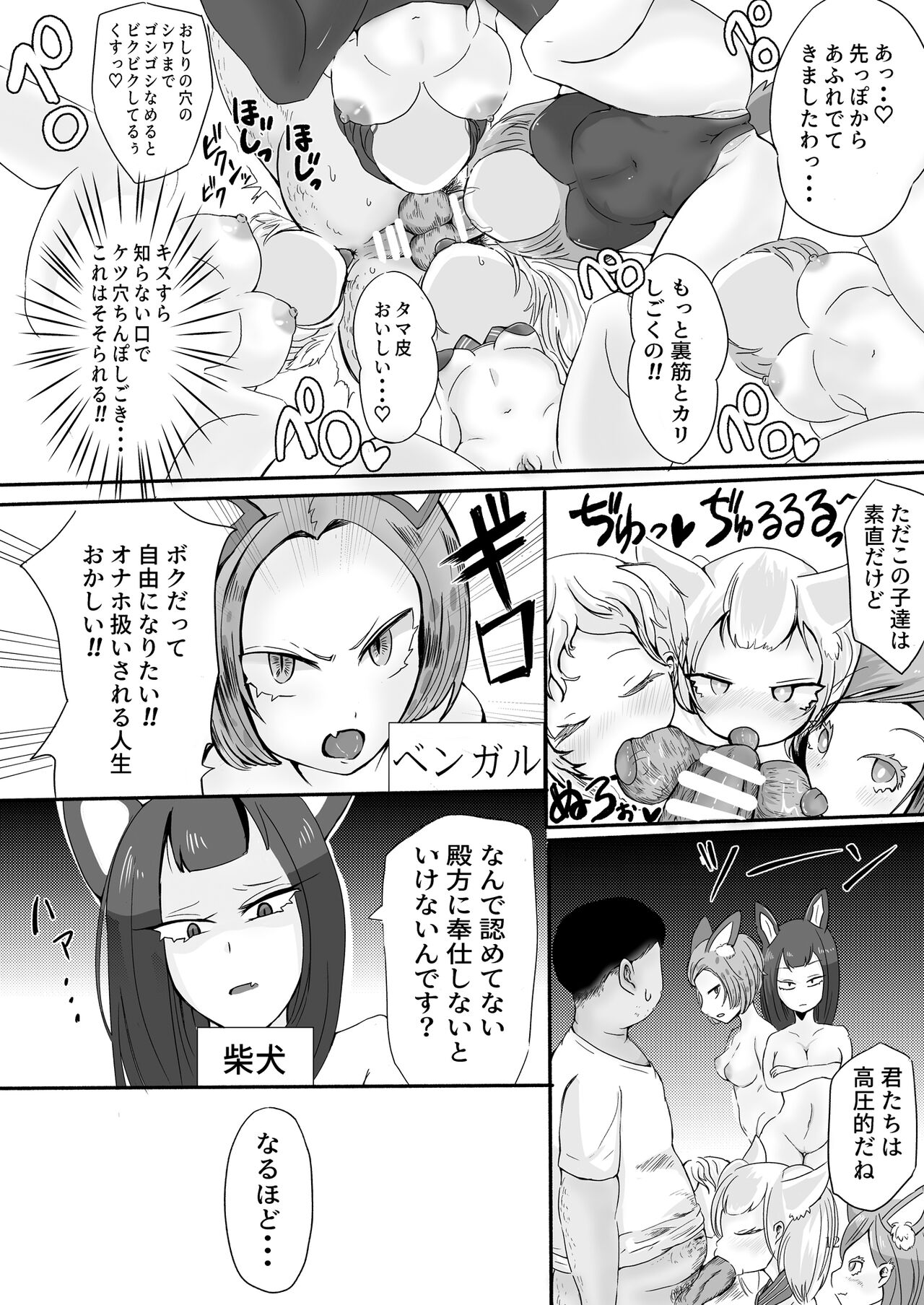 OnaPet Shop page 11 full