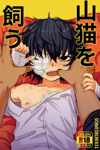 [Schweinchen 31] yamaneko o kau [DLsite] cover