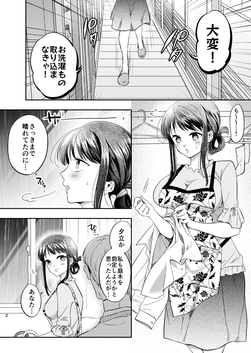 Intoh Reform ~Hakuchuu no Netorare Bijin Tsuma~ page 3 full