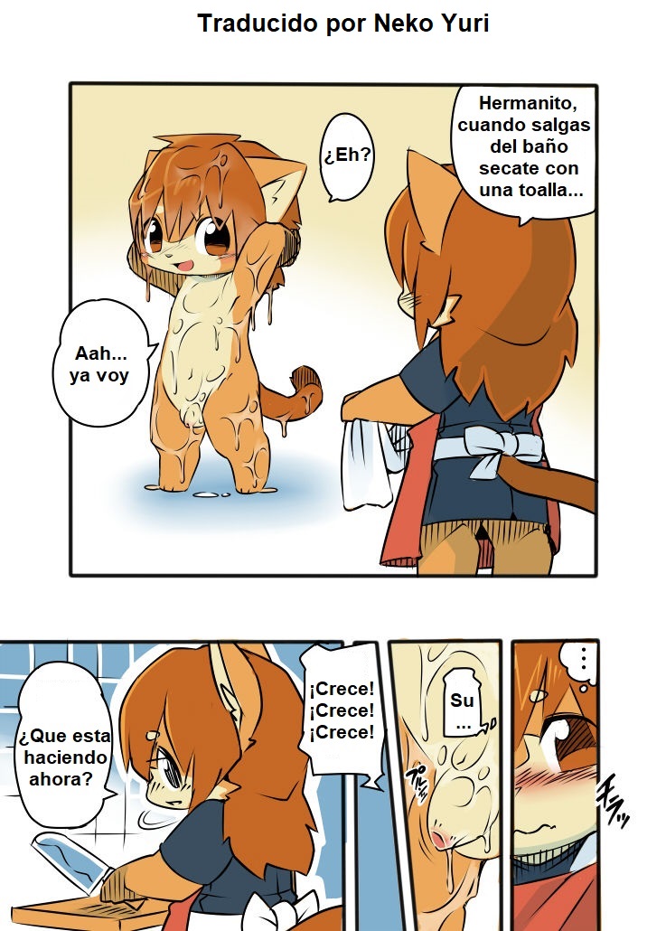 Kyodai demo suki na mono wa suki dakara shoganai!! page 4 full
