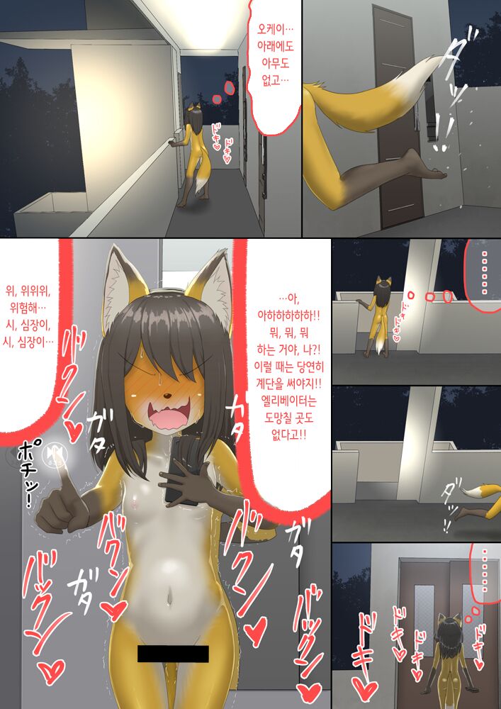 The bankruptcy of a company | 여우 페인트 page 12 full