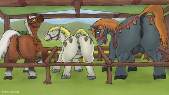 Strohdelfin's Stable cover