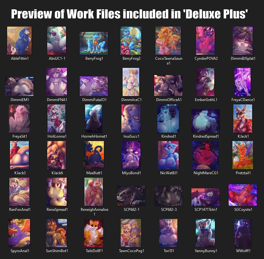DWD-2020 Deluxe+ page 2 full