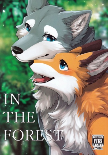(Kemoket 12) [D-Point! (Diga Tsukune)] IN THE FOREST [Korean] cover