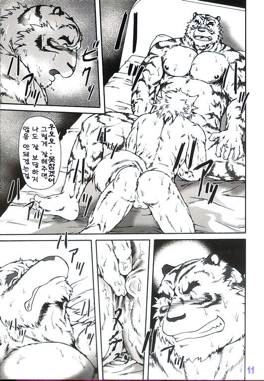 Present page 11 full