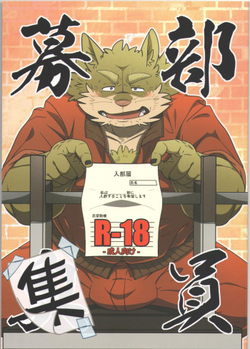 (C92) [Bareisho-Inuana (Guchi)] Buin Boshuu cover