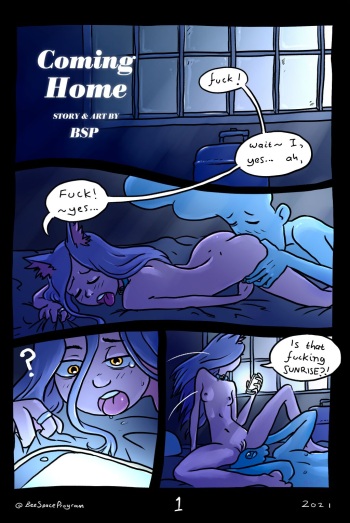 Coming Home cover