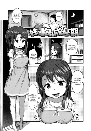 [Hayake] Imouto no Mune wa Seichou-ki | El pecho de mi hermanita ha crecido (Nani Suru no!? Onii-chan!!) [Spanish] [ShiroNuki] cover