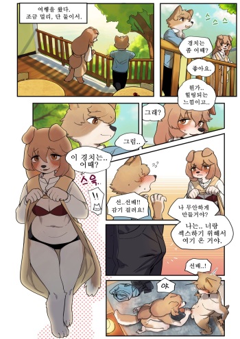 [Gudl] Senpai [Korean] [Decensored] cover