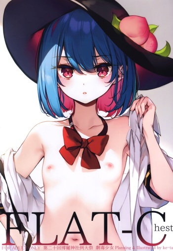 (Reitaisai 20) [Gekidoku Shoujo (ke-ta)] FLAT-Chest (Touhou Project) cover