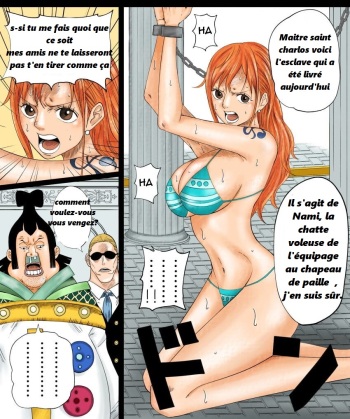[Azlight] Nami-san Manga (One Piece) French cover