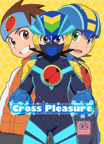 10NIN - Plaisir croisé (Megaman Battle Network) cover