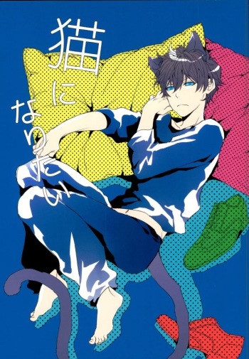 [Phenomenon (Otsu)] Neko ni Naritai (Kekkai Sensen) cover