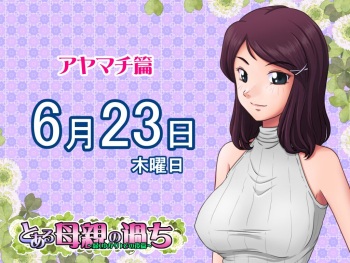 Mistakes of a certain mother-fate of its sequel V1.51D CG cover
