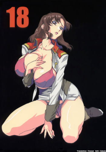 (C64) [studio C-TAKE (Miura Takehiro)] GUNYOU MIKAN vol.18 (Mobile Suit Gundam SEED) [Korean] cover