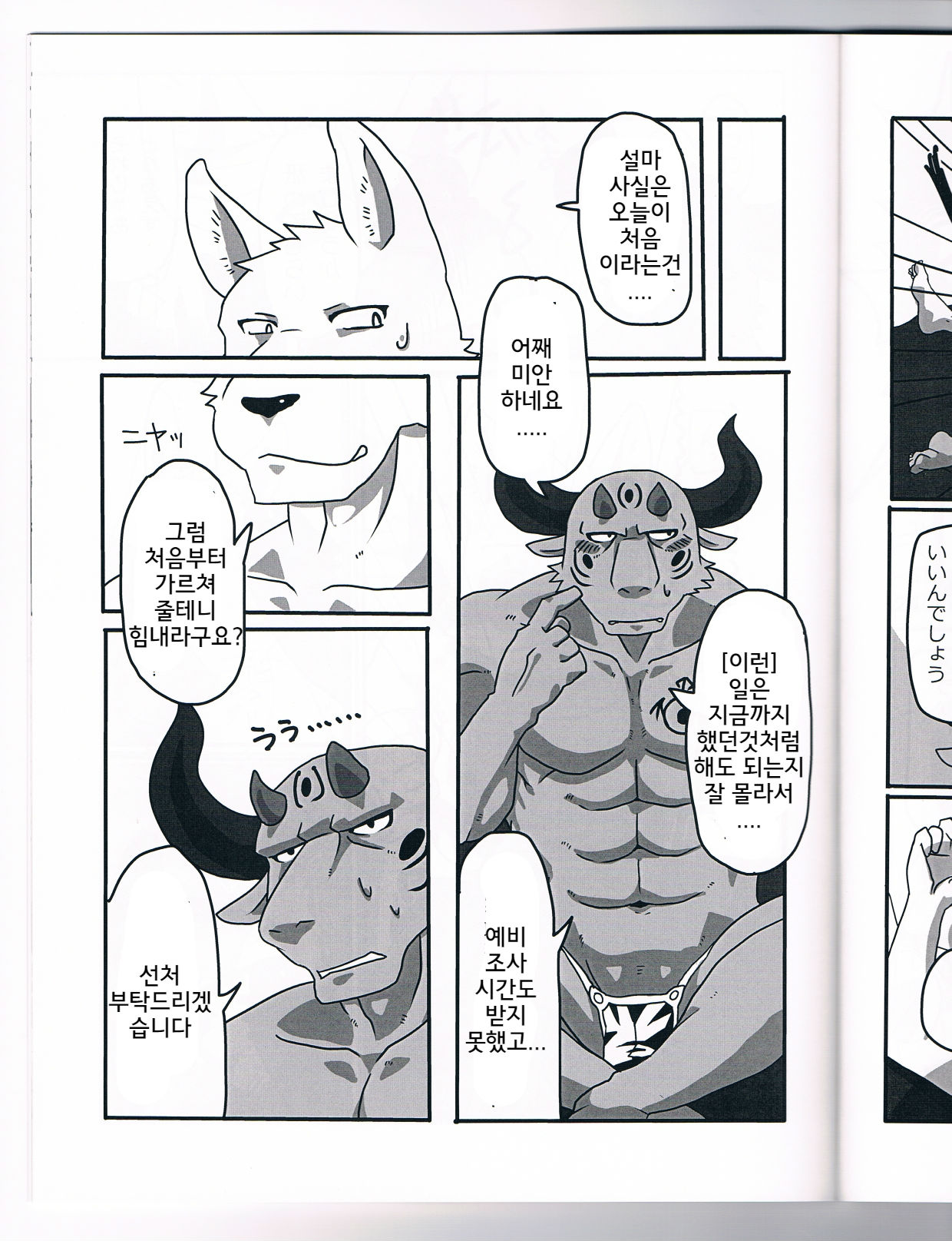 NON CATTLE page 11 full