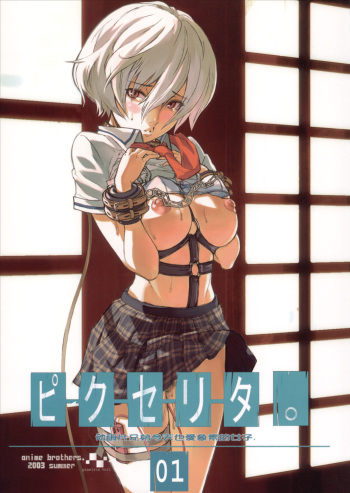 (C64) [Anime BROTHERS (Itsuki Kousuke)] PixelitA 01 cover