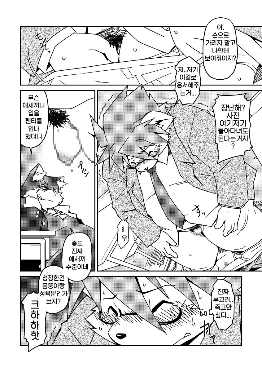 E page 11 full