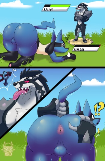 [SrMko] Lucario & Obstagoon cover