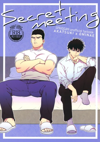 [Ochawan (Wakachiko)] Secret meeting (Spriggan) cover