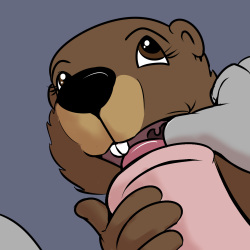 Ragdoll's Power Tower