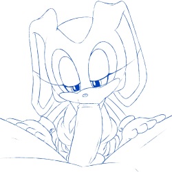 Cream The Rabbit POV