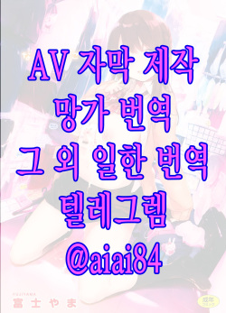 비밀 + 토라노아나 한정 리플릿 ①