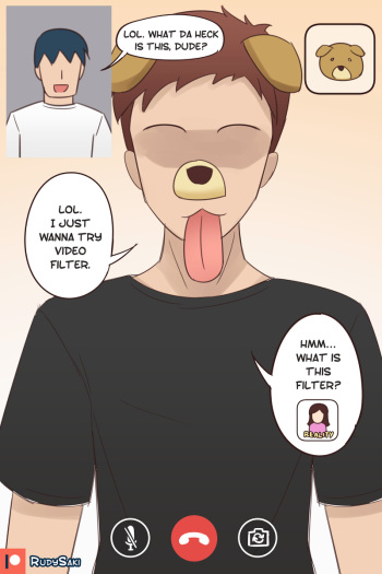 Facetime Filter cover