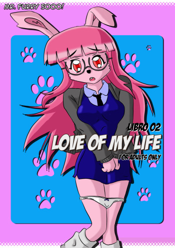 LOVE OF MI LIFE cover