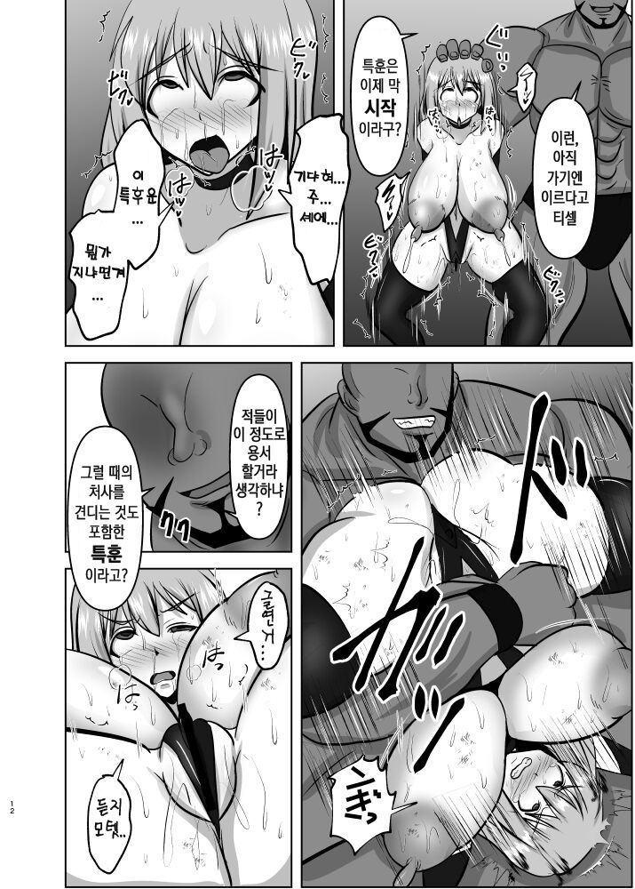 Raygis Valicess Elsain "Haimesu Shoukougun Trauma Kokufuku Tokkun Hen" | 황순전희 엘세인 "패배암컷 증후군" page 11 full