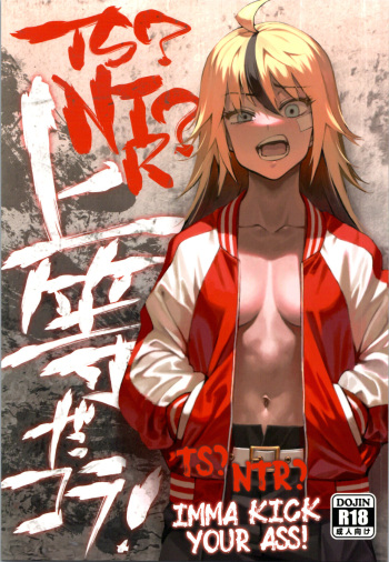 (C99) [Dokudami (Okita Ababa)] TS? NTR? Joutou da Kora! | TS? NTR? Imma Kick Your Ass! [English] [SachiKing] cover