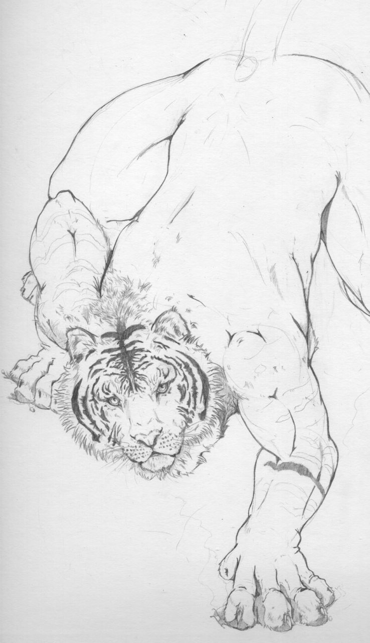 Art Collection page 1 full