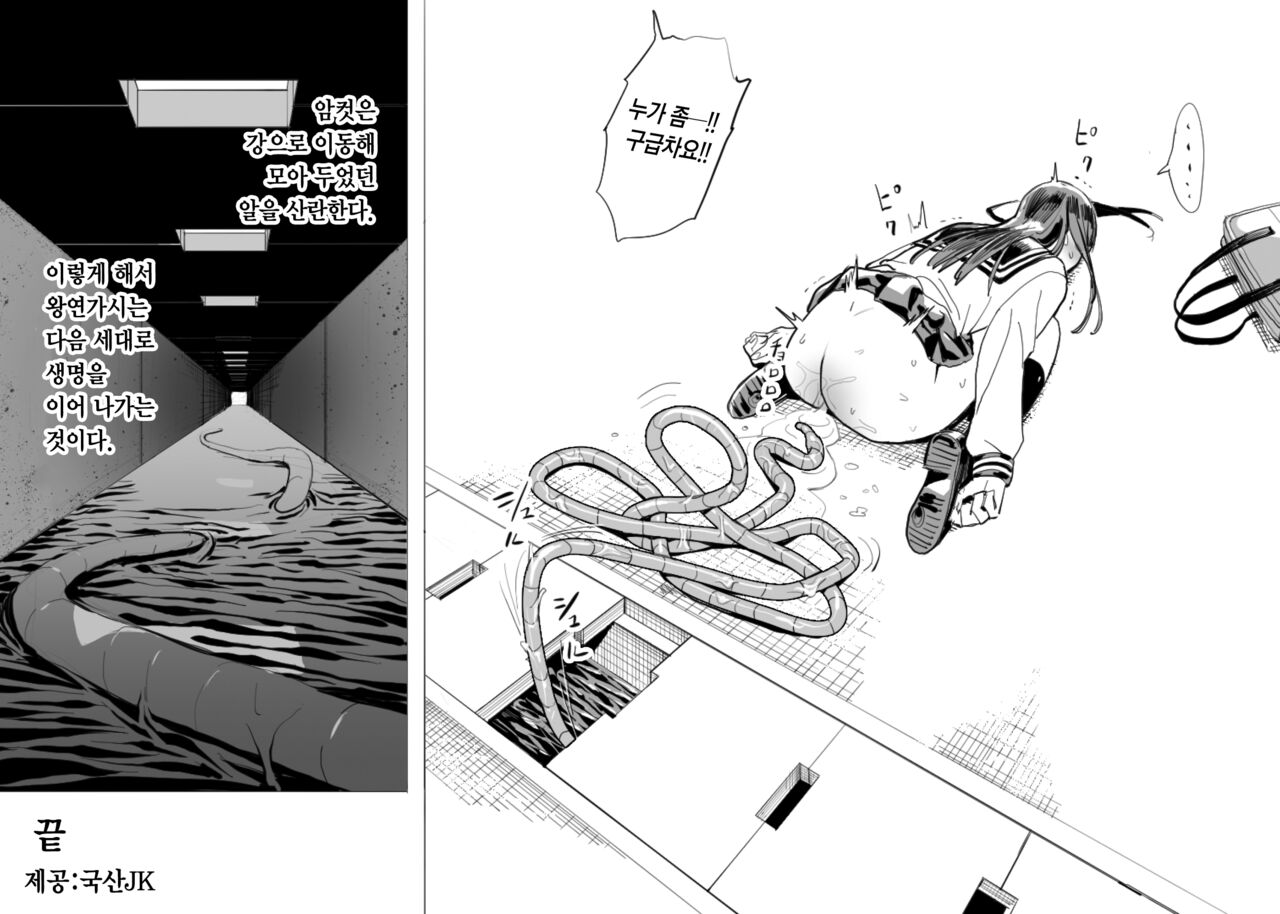 Oohariganemushi no Seitai | 왕연가시의 생태 page 12 full
