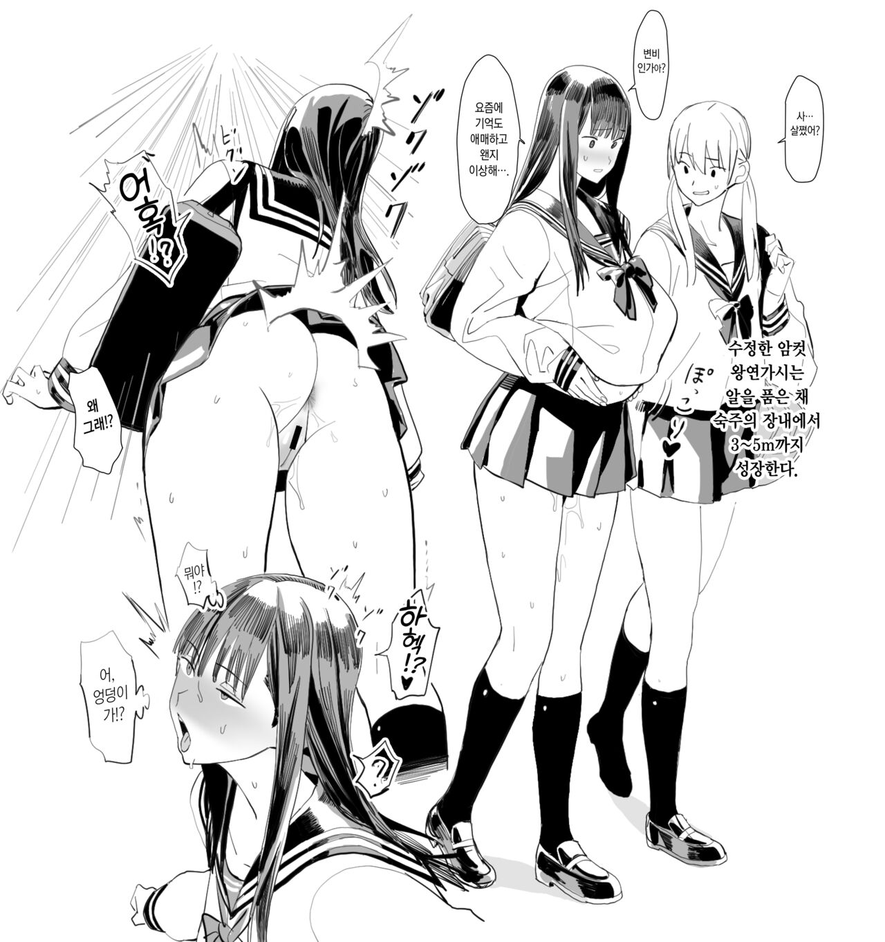 Oohariganemushi no Seitai | 왕연가시의 생태 page 8 full