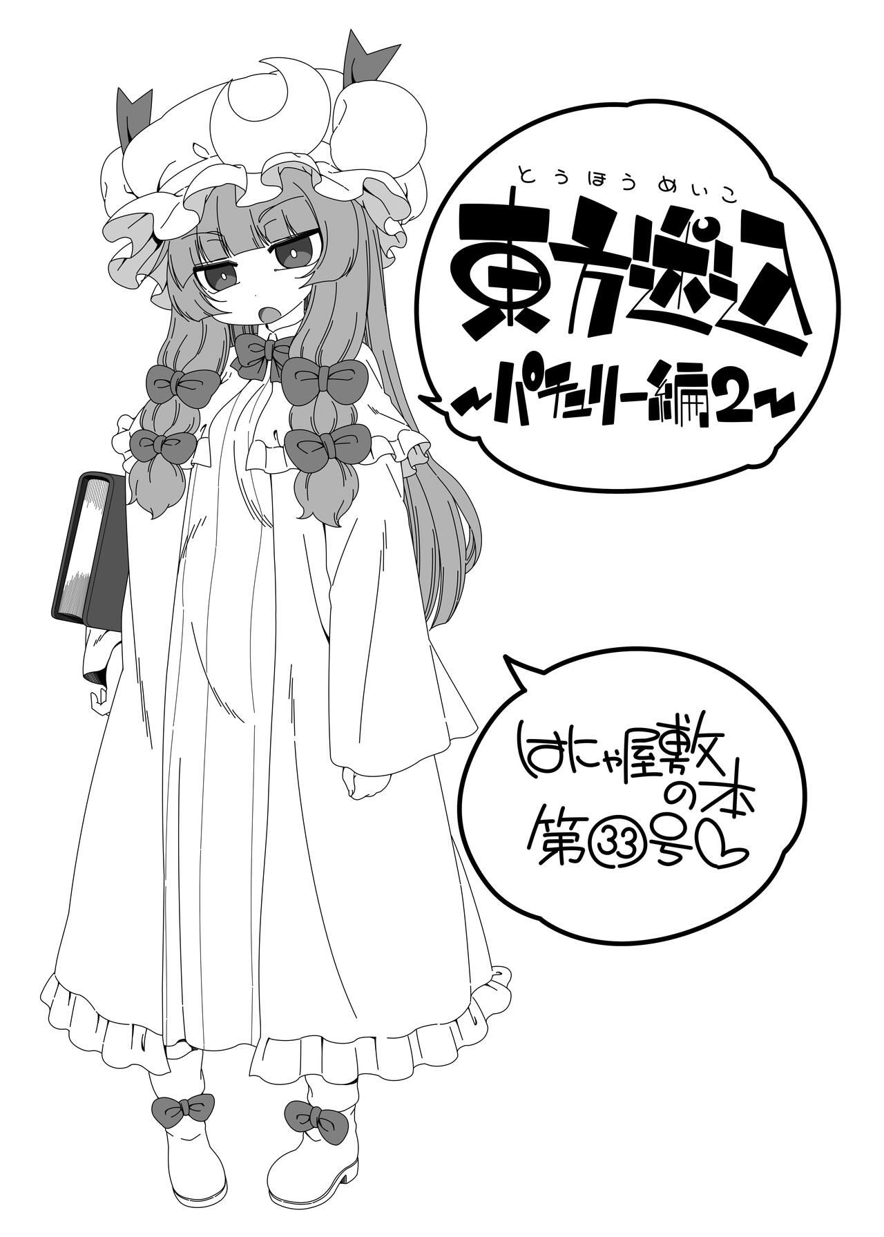 Touhou Meiko ~Patchouli Hen 2~ page 2 full
