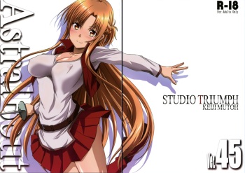 (C100) [STUDIO TRIUMPH (Mutou Keiji)] Astral Bout Ver. 45 (Sword Art Online) [Korean] cover