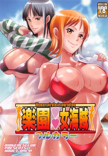 (C101) [Diogenes Club (Haikawa Hemlen)] Rakuen Onna Kaizoku - Woman pirate in paradise Full Color (One Piece) cover