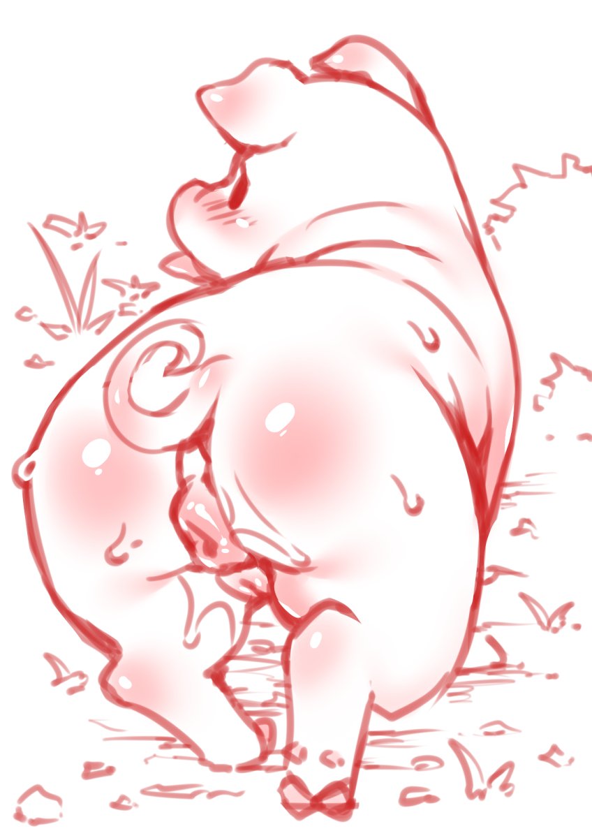 Breeding Sows page 11 full