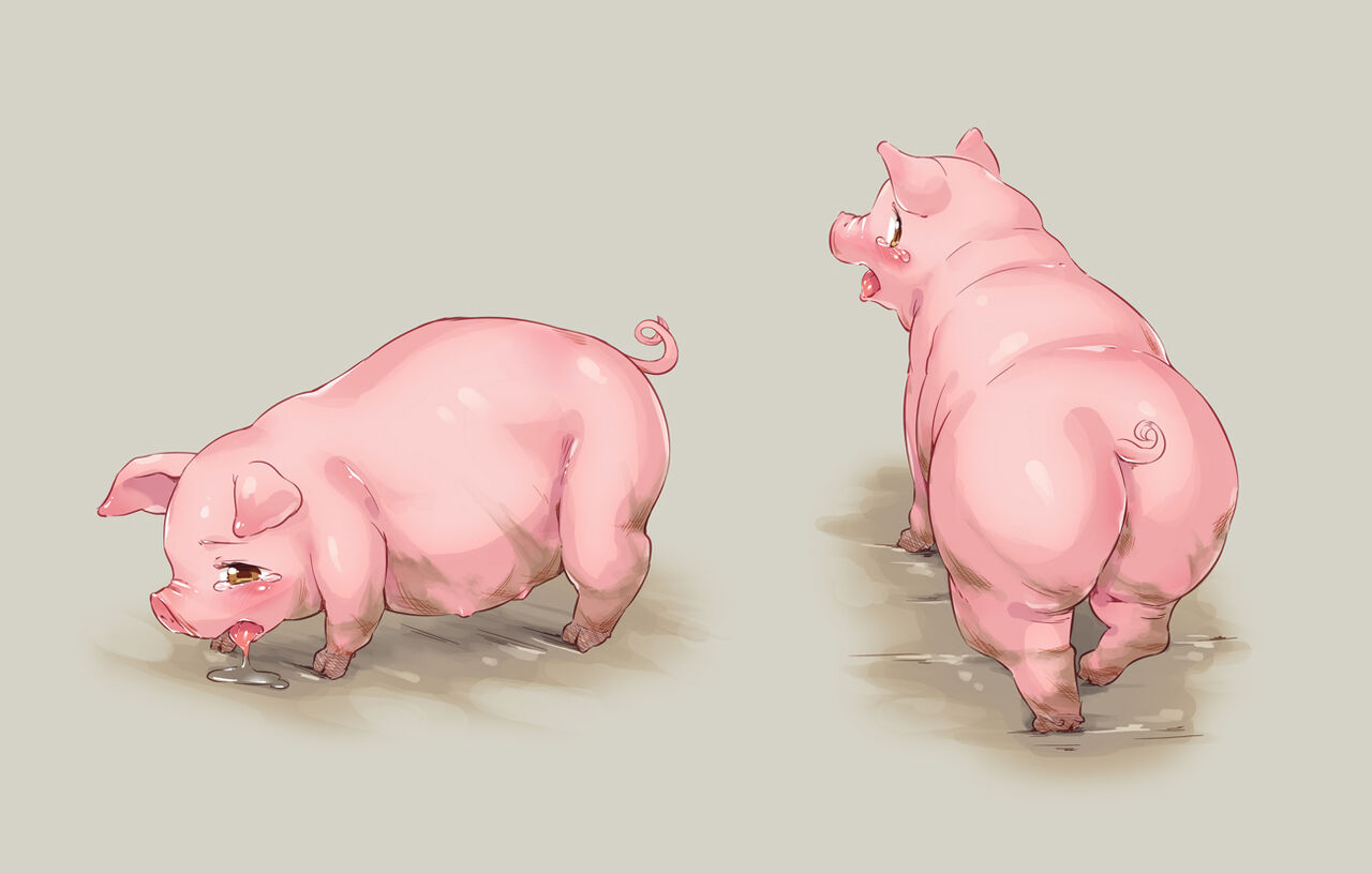 Breeding Sows page 12 full